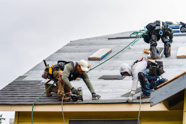 Professional Gutter Installation technician working in Collinsville, TX